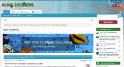 Desktop Screenshot of algaescrubbing.com